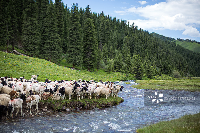 克拉玛依风景图片素材