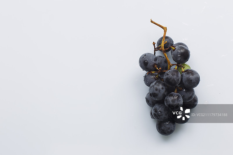 黑色葡萄“伊莎贝拉”图片素材