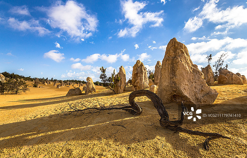 尖峰石阵的午后图片素材