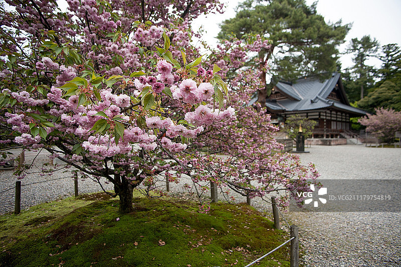 金泽24图片素材