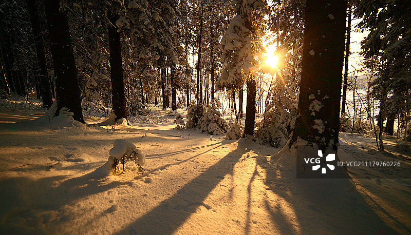 金色的夕阳图片素材