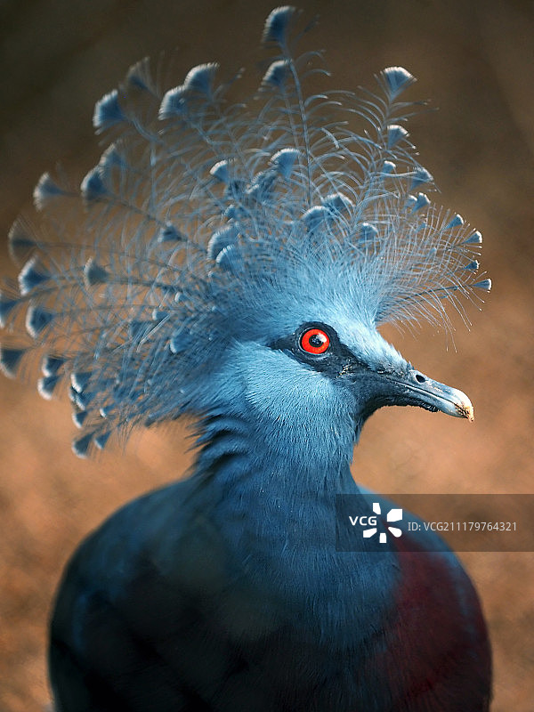 关注我图片素材