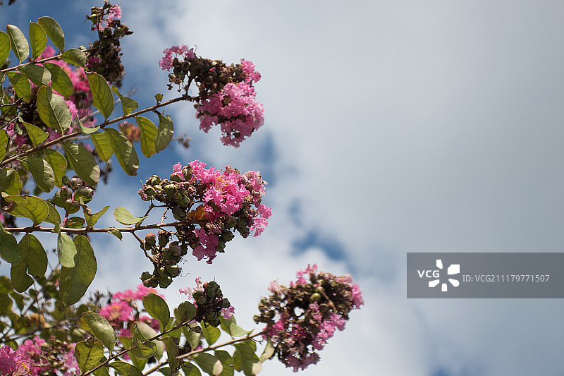 赖茨维尔海滩环线步行（北卡罗来纳州）图片素材
