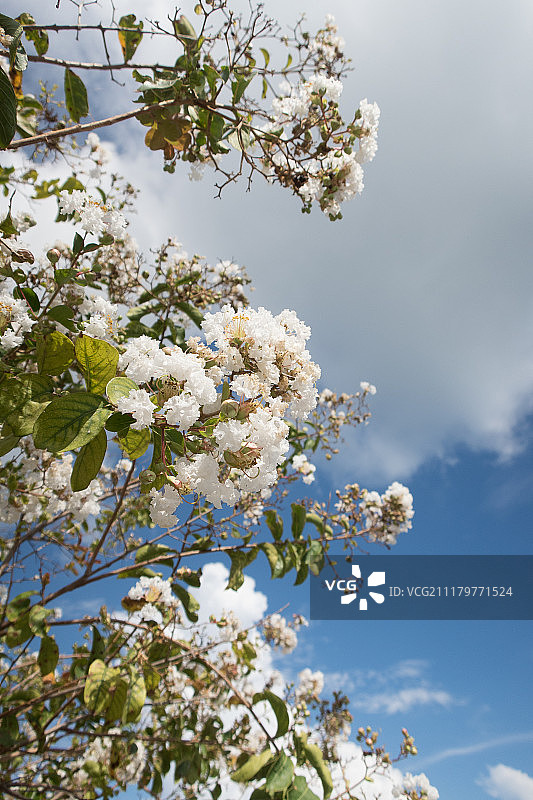 赖茨维尔海滩环线步行（北卡罗来纳州）图片素材