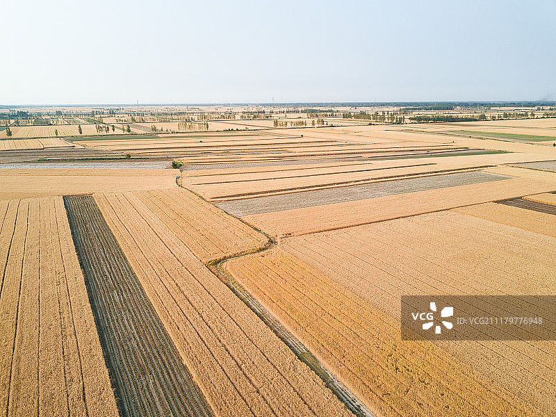 航拍麦田图片素材