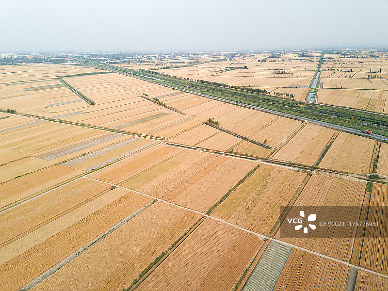 航拍麦田图片素材
