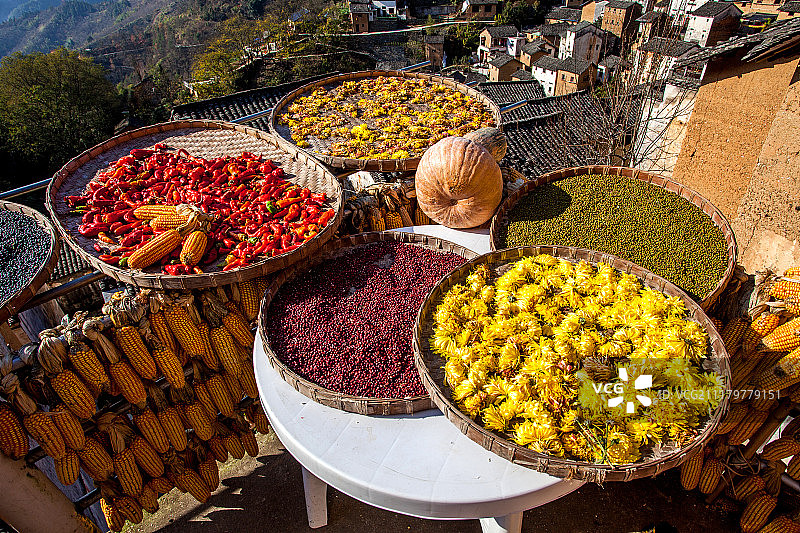 安徽 歙县 阳产土楼 秋晒 农作物图片素材