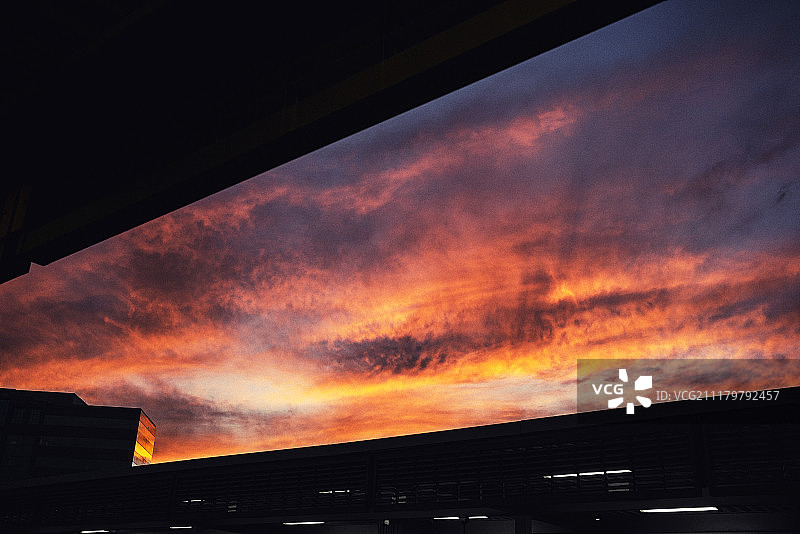 银翼杀手图片素材