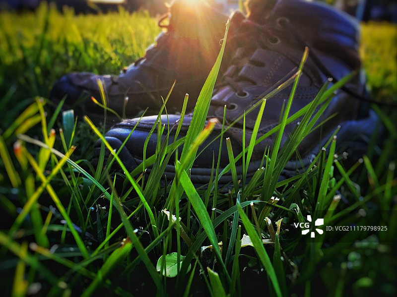 草地、靴子和阳光图片素材