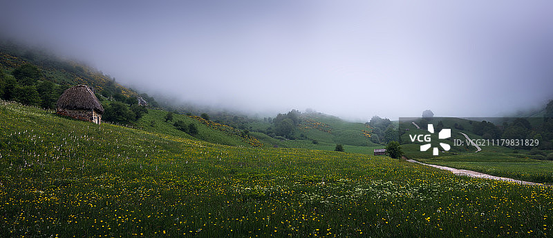 通往湖泊的道路图片素材