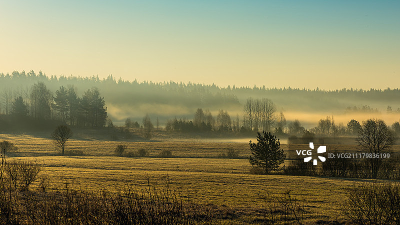 卡累利阿春季的雾气清晨图片素材