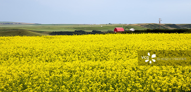 红精品图片素材