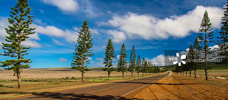 前往拉奈市的路上图片素材