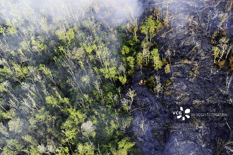 熔岩流森林图片素材