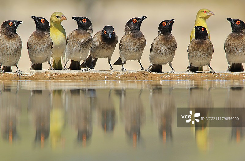 色彩的排列式反射图片素材