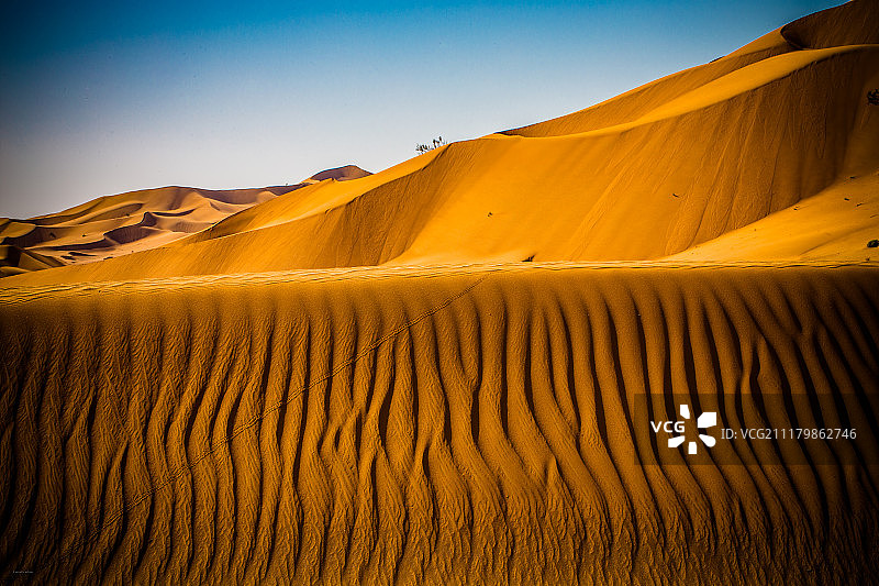 地平线上的生活图片素材