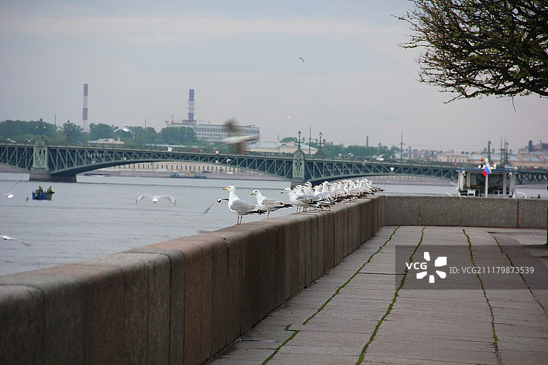 多云天空下的河上桥梁景观图片素材