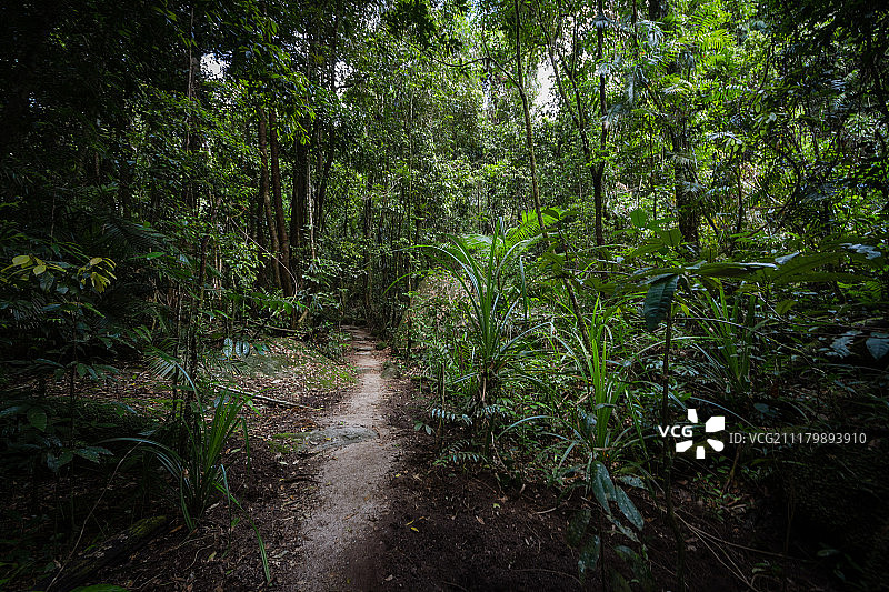 莫斯曼峡谷图片素材