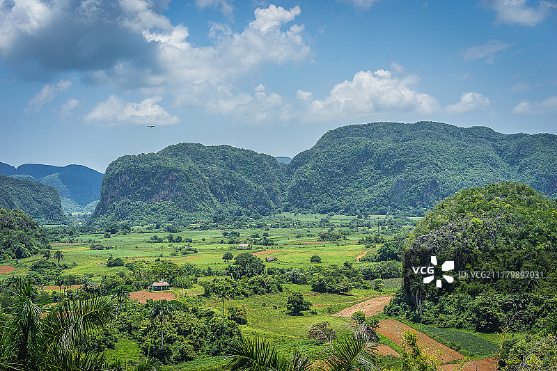 比尼亚莱斯山谷的莫戈特图片素材