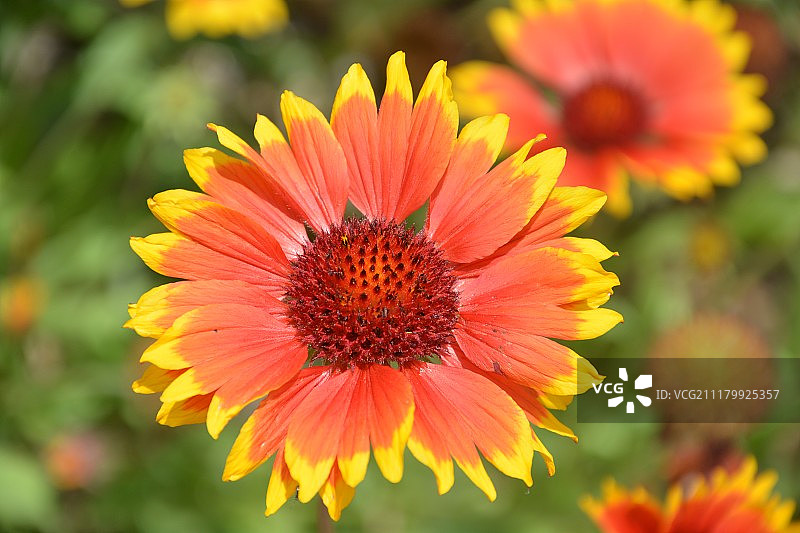 大自然的美丽图片素材