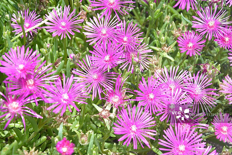 大自然的美丽图片素材