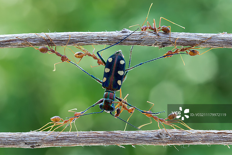 团队合作图片素材