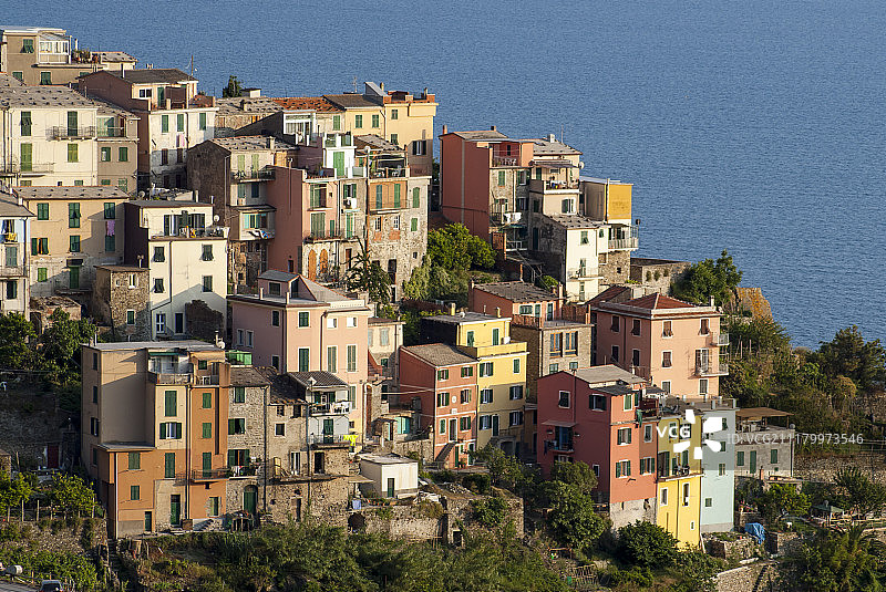 意大利五渔村科尔尼利亚图片素材