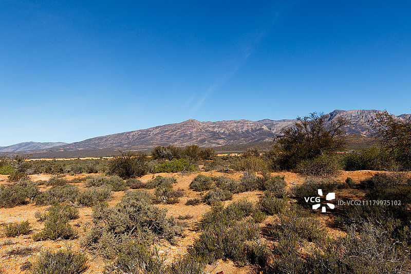 干燥的景观图片素材