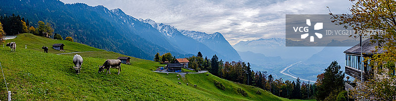 莱茵河景观图片素材