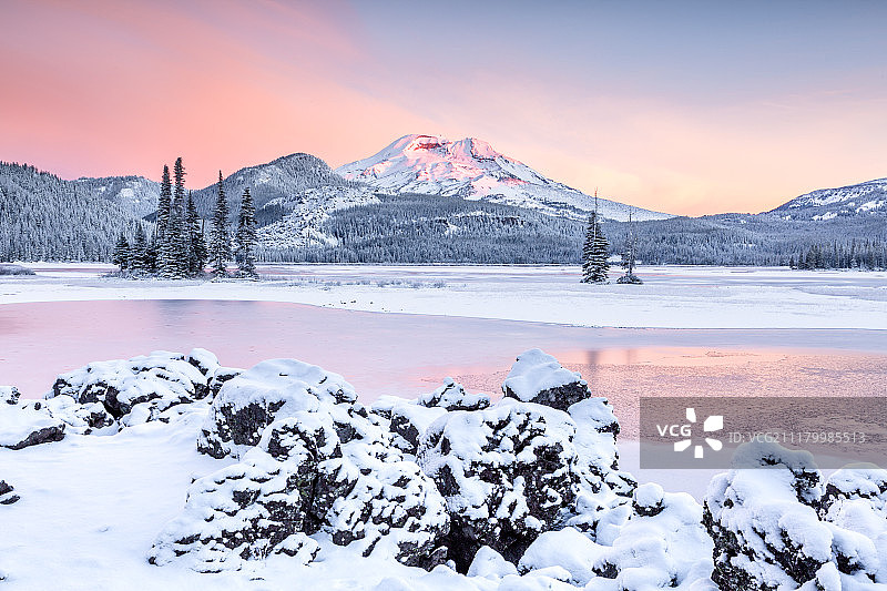 喇叭花图片素材