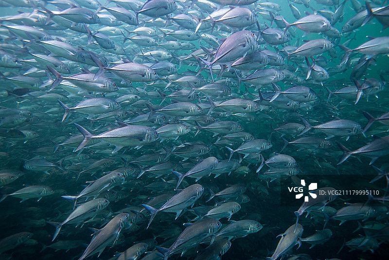 早高峰图片素材