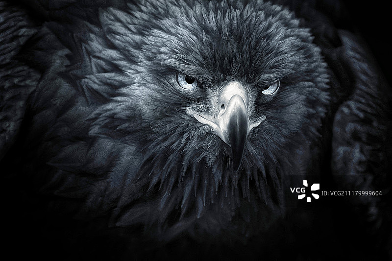 黑暗风格图片素材