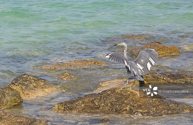 凉爽的微风图片素材