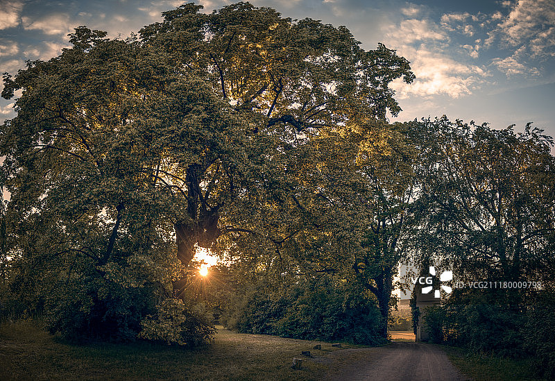最后的夏日图片素材
