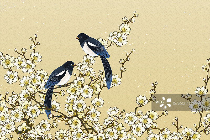 优雅喜鹊与梅花背景图片素材