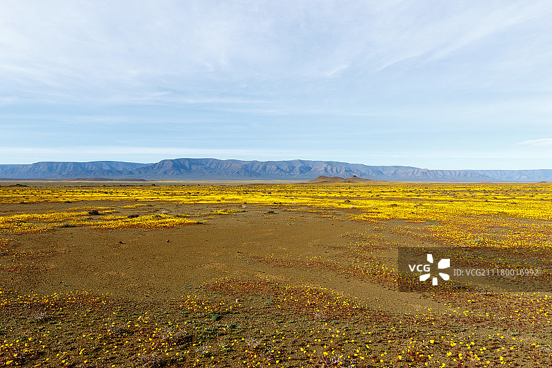 坦克瓦卡鲁国家公园的黄色荒漠景观图片素材