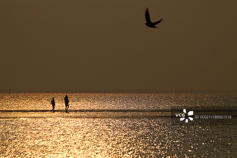 光与生活图片素材