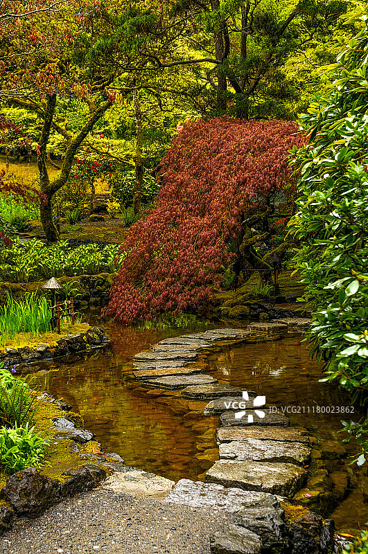 蜿蜒的小路图片素材