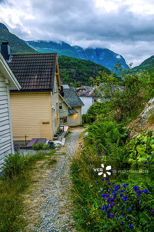 绿色小路图片素材