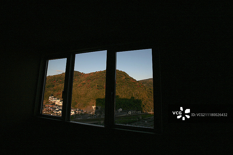 透过窗户看到的树木图片素材