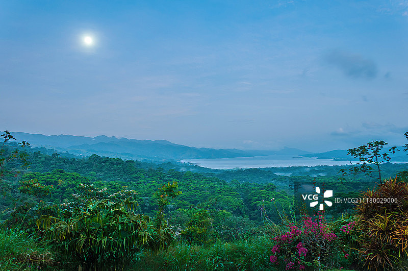 丛林早晨图片素材