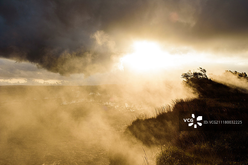 生机勃勃的地球图片素材