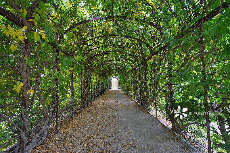 绿色隧道图片素材