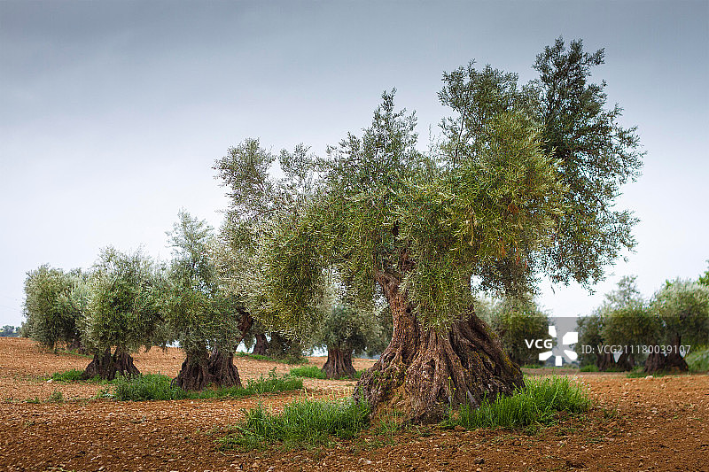 图片ID：284200319图片素材