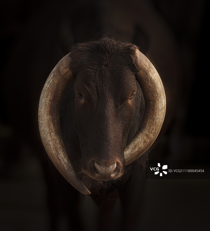 完美的奥秘图片素材