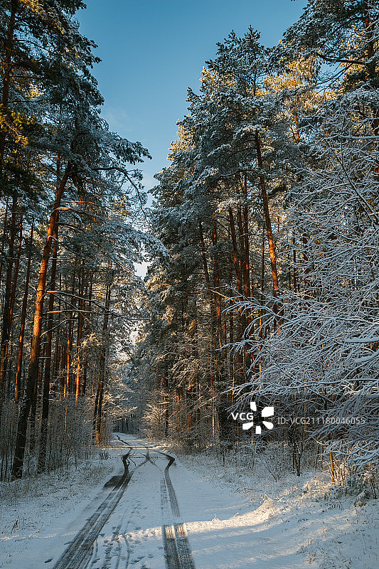 冬季开始了图片素材