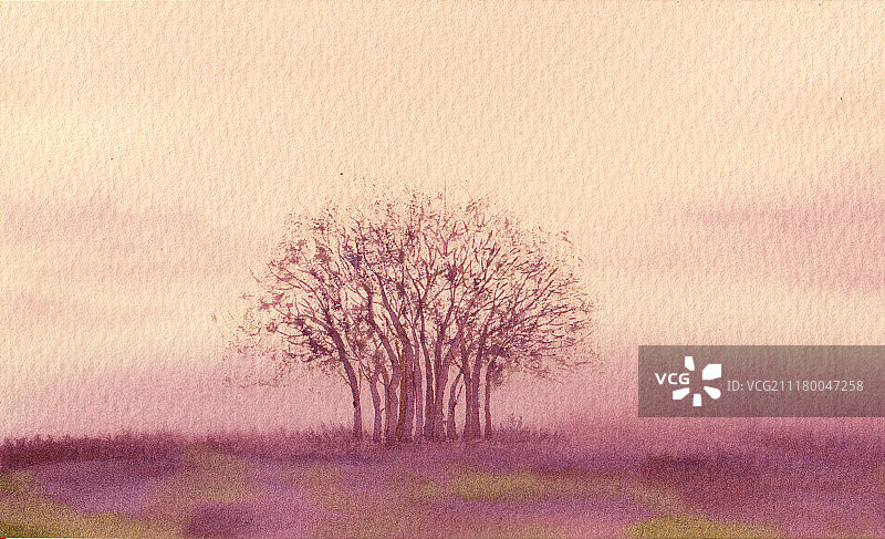 手绘复古水彩风景（树）图片素材