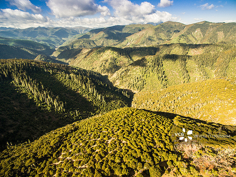 四川省攀西木里县高原林场航拍图片素材