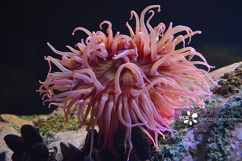 海底世界图片素材