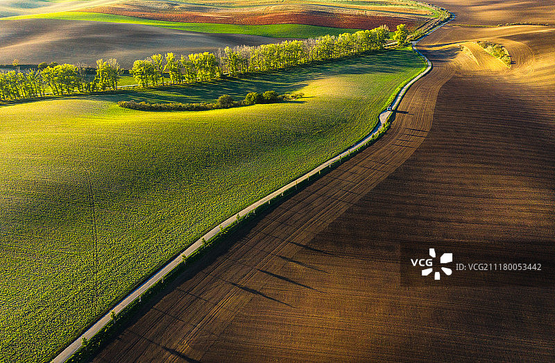 田野中的道路图片素材